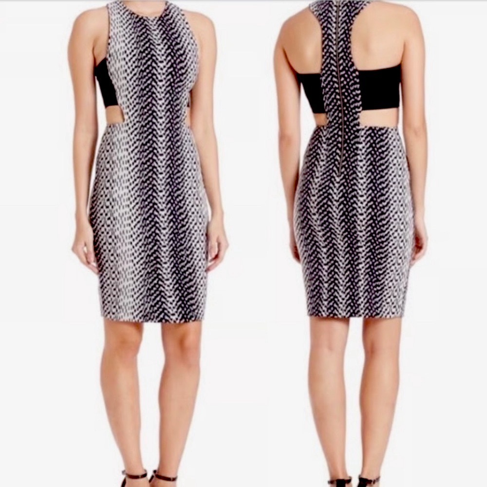 NWT Elizabeth and James Black and White Dress Sz 4
